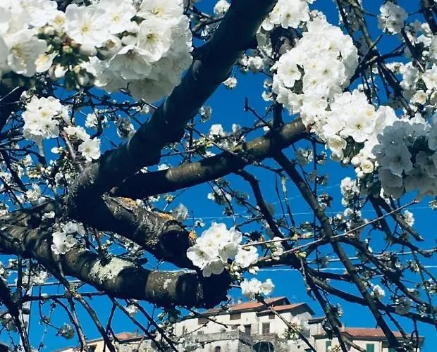 Ca' Rosmunda Casa de Férias *