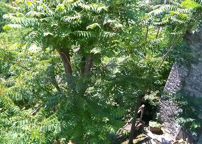 Ca' Rosmunda Bagnone