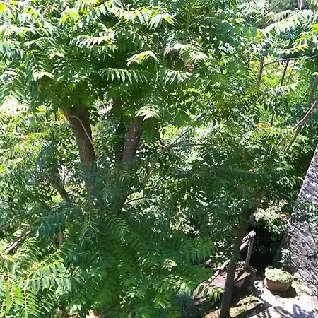 Ca' Rosmunda Bagnone